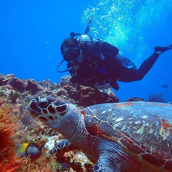we-fill-scuba-diving-with-turtle